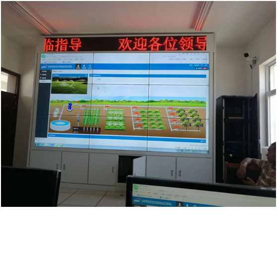 河南農科院實驗基地蜜桃亚洲AV无码一区二区三区