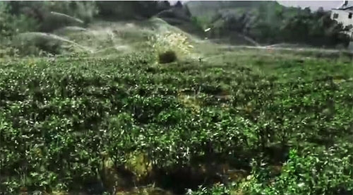 六盤水茶園蜜桃亚洲AV无码一区二区三区項目