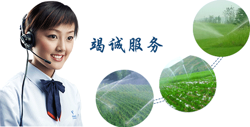  節水蜜桃亚洲AV无码一区二区三区