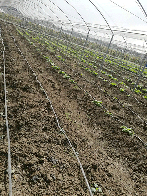 蜜桃亚洲AV无码一区二区三区係統