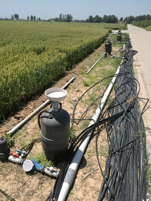 農業蜜桃亚洲AV无码一区二区三区