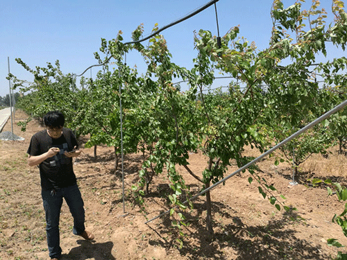 農業蜜桃亚洲AV无码一区二区三区