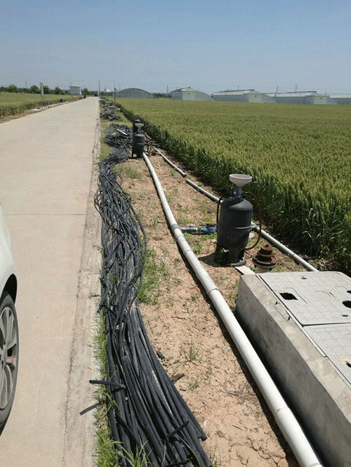 農業蜜桃亚洲AV无码一区二区三区