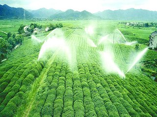 農業蜜桃亚洲AV无码一区二区三区