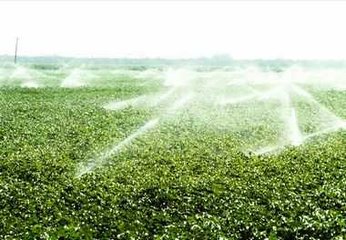 節水蜜桃亚洲AV无码一区二区三区廠家