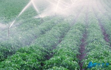 蜜桃亚洲AV无码一区二区三区係統