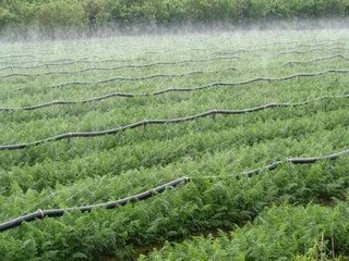 蜜桃亚洲AV无码一区二区三区係統