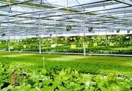 蜜桃亚洲AV无码一区二区三区