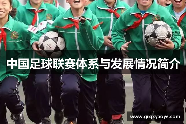 中国足球联赛体系与发展情况简介